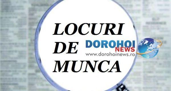 locuri de muncă vacante 01