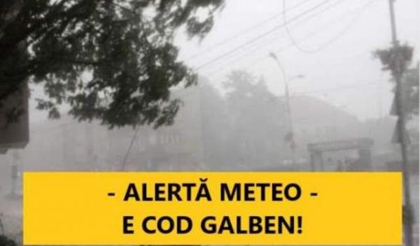 Cod Galben