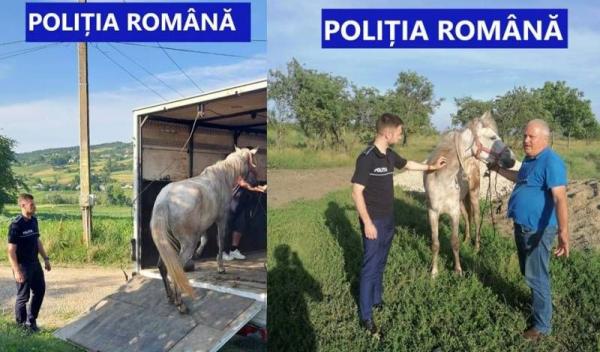 politia