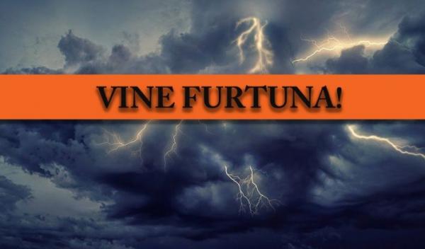 Vine-furtuna-cod-portocaliu-nou1