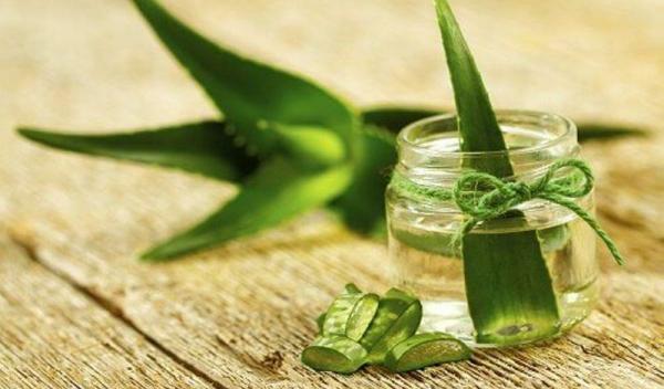 aloe-vera-acasă-la-tine