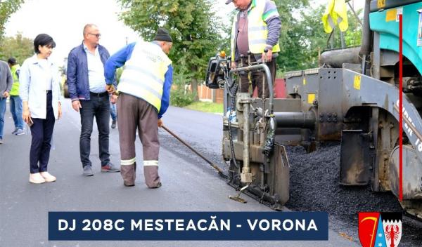 DJ 208C Mesteacan - Vorona   (2)