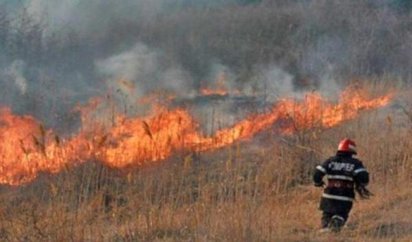 incendiu vegetatie_d