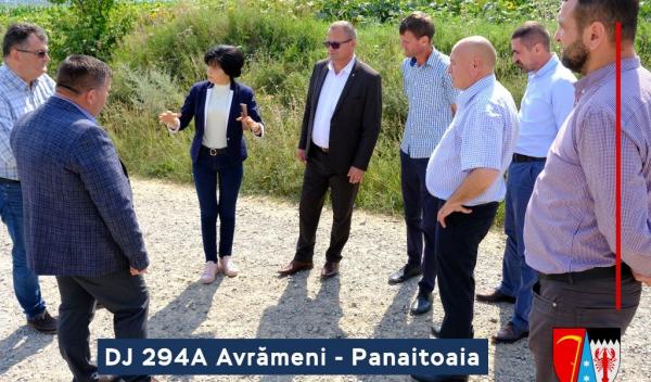 DJ 294A, Avrămeni - Panaitoaia - Dimitrie Cantemir