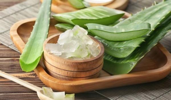 aloe vera bun de pus pe rana