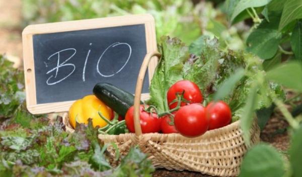 alimente-bio