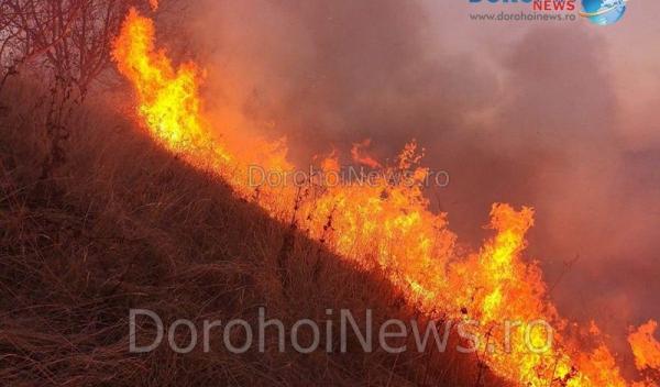 Incendiu Vaculesti_01