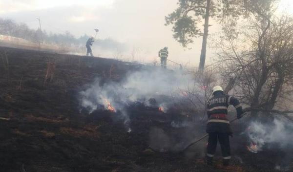 Incendiu vegetatie_5