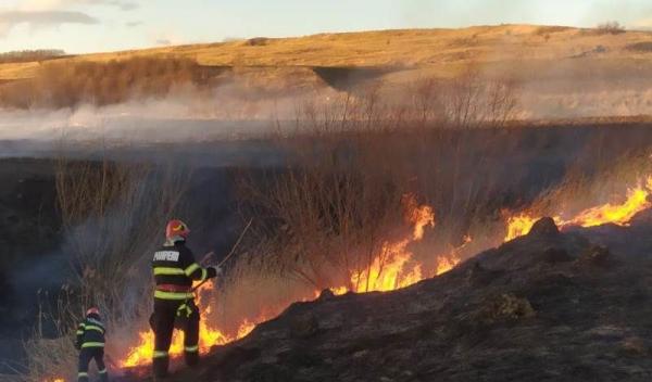 Incendiu vegetatie (1)