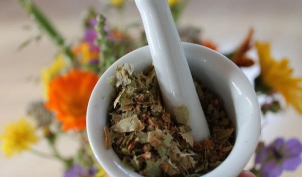 plante-medicinale