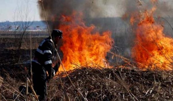 incendiu vegetatie