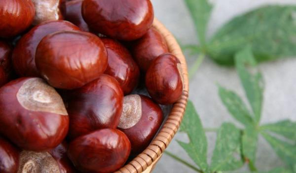 castane
