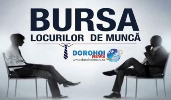 Bursa locurilor de munca (2)