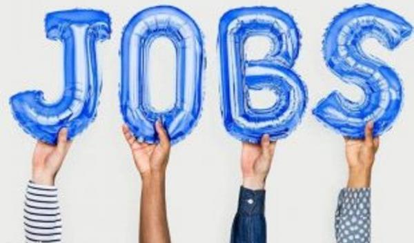 job-310x205