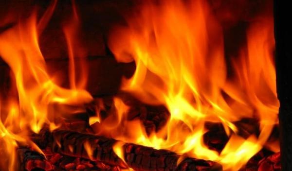 foc