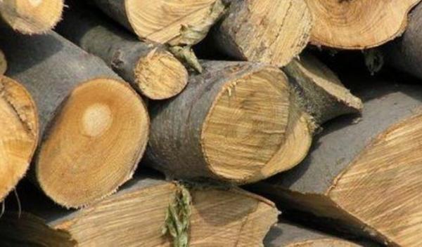 material lemnos confiscat