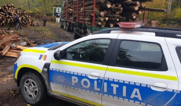 politie-lemn