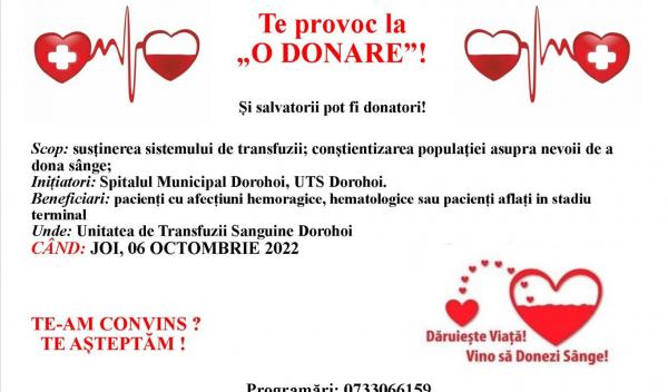Donare_6 OCT_m