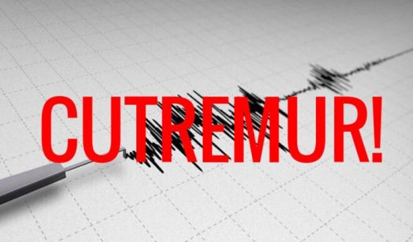cutremur-infp