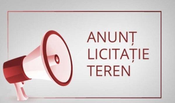 licitatie (2)