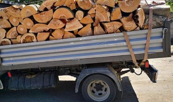 material lemnos confiscat