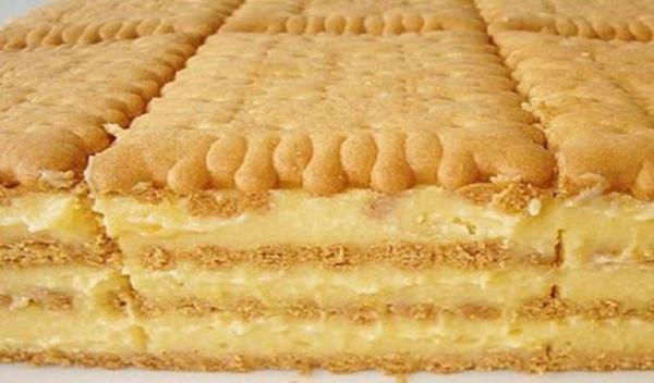 prajitura-cu-biscuiti-si-budinca