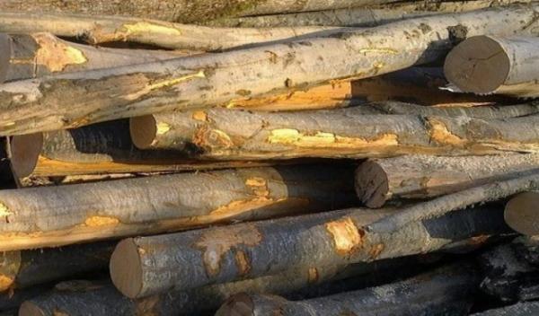 material lemnos confiscat_d