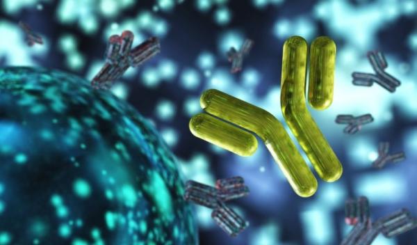 bacterie
