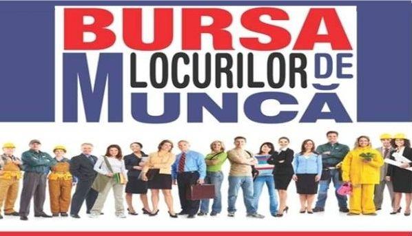 Bursa locurilor de munca - BT