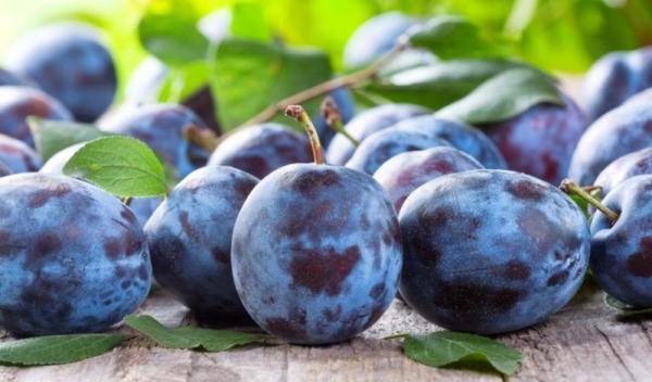 prune