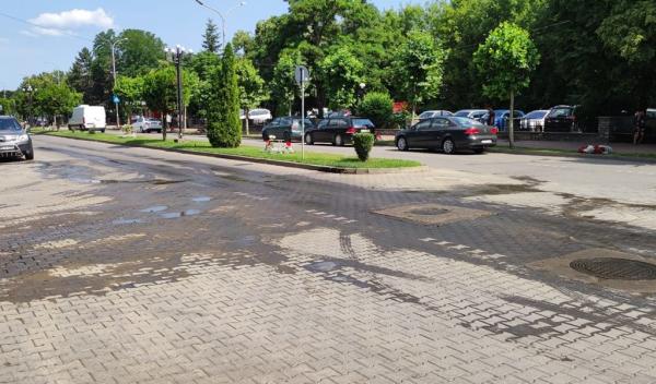 Izvor de fecale Dorohoi_004