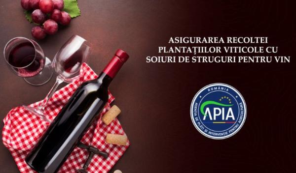 APIA