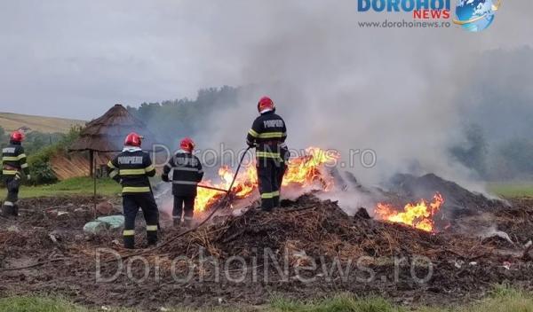 Incendiu Horlaceni_22