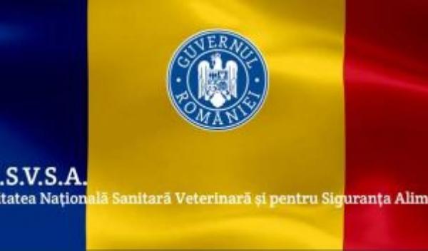 ANSVSA