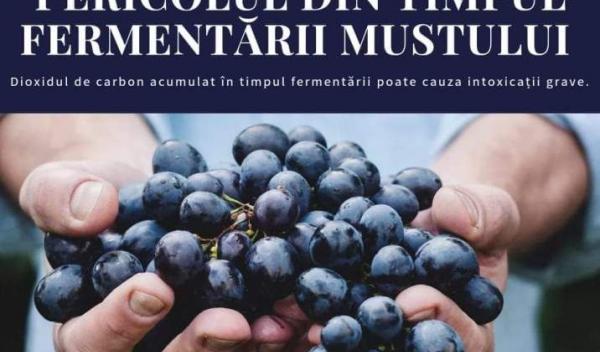 Vin fermementat