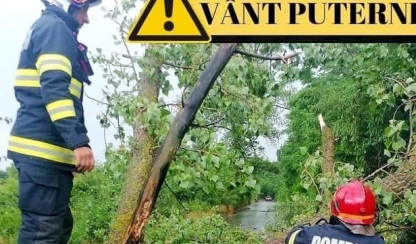 Vant