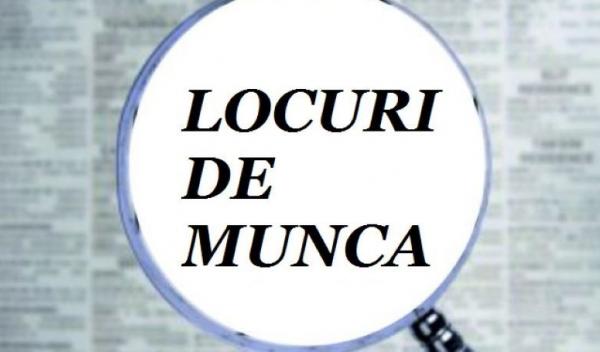 Job