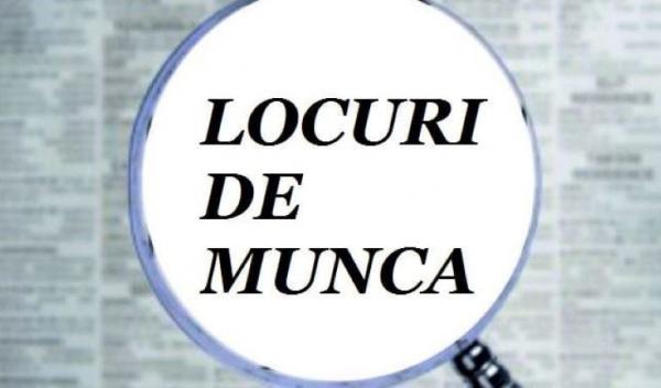 JOB
