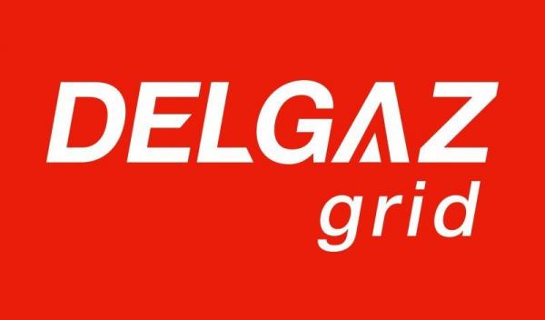 Delgaz grid