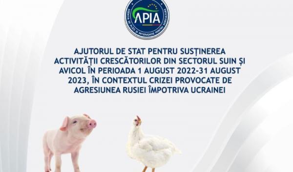 AJUTOR_PORCI_GAINI