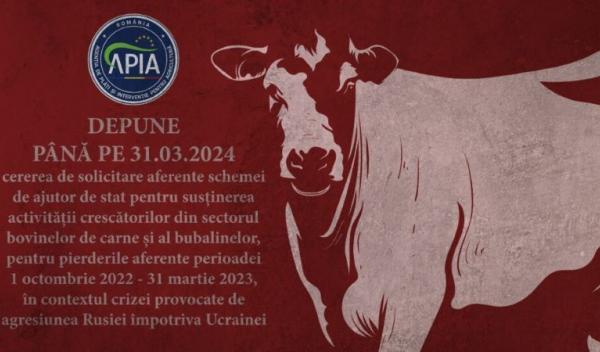 ajutor bovine