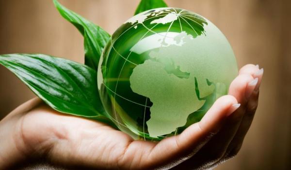 ecologia