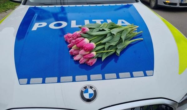 8 martie 01