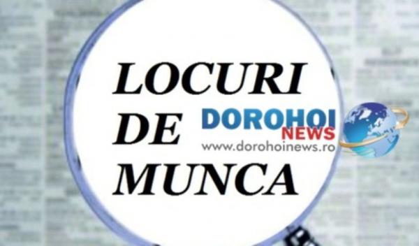 locuri de muncă vacante 01