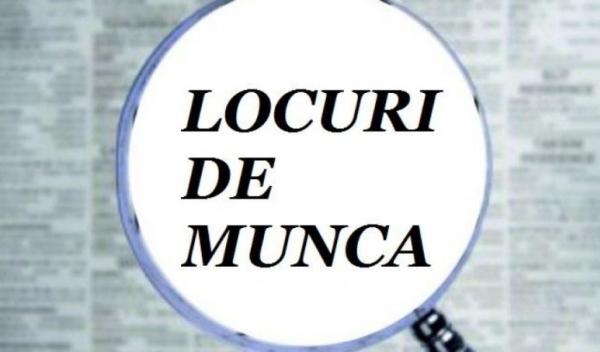 locuri_munca