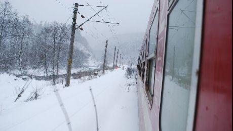 tren
