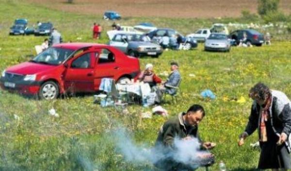 Legea picnicului