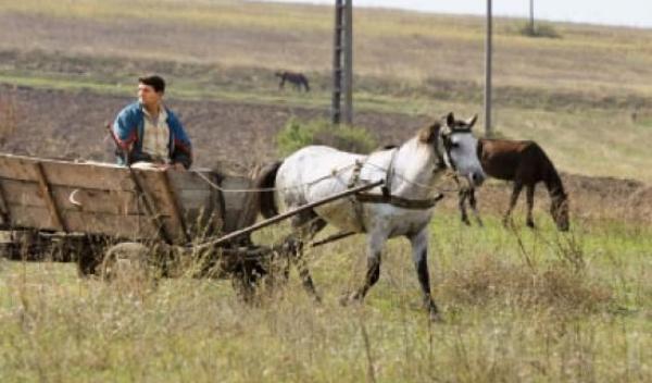 agricultura