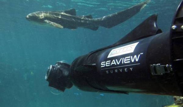 Google SeaView