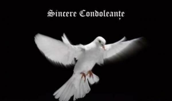 Condoleante (4)